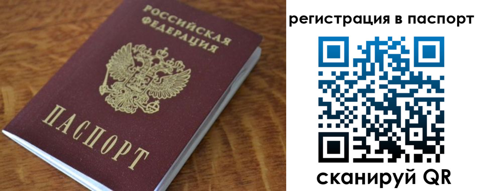 регистрация для школы в Фрязино
