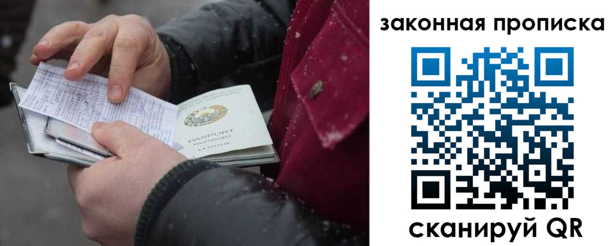 прописка поиск в Фрязино